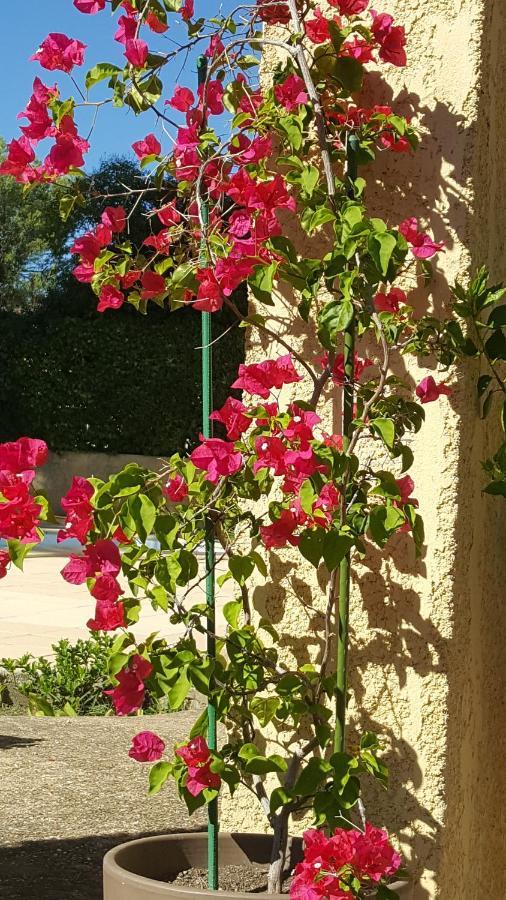 La Demeure D'Helice Bed & Breakfast Langlade Exterior foto